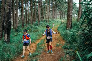 BIB: 
                            <button type="button" onclick="openModal(25663942)" class="btn btn-primary btn-sm float-right btn-popup" data-toggle="modal" data-target=".modal-high-quality">
                        <i class="fas fa-shopping-cart"></i> Add to Cart
                    </button>
                                            <button type="button" onclick="isThisMe(25663942, true)" class="btn btn-success btn-sm float-right btn-popup btn-isme hidden" data-toggle="tooltip" data-placement="bottom" title="นี่คือรูปของคุณใช่ไหม คลิกที่นี่เพื่อเอาเข้าอัลบั้ม">
                        <i class="fas fa-plus"></i> Add to album
                    </button>
                    <button type="button" onclick="isThisMe(25663942, false)" class="btn btn-warning btn-sm float-right btn-popup btn-isnotme hidden">
                        <i class="fas fa-ban"></i> Remove from album
                    </button>